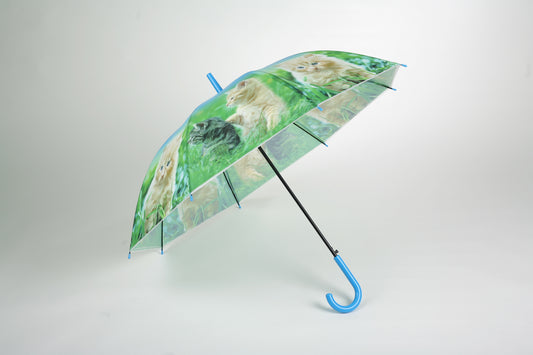 DC-RS-12-Grün-Regenschirm mit Katze-Motiven.