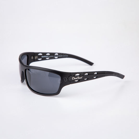 DC-PZ-240-mit-polarisierten Sonnenschutzgläsern