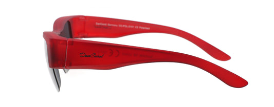 DC-POL-2101-C3 -Mit Polarizierte Gläser