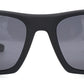 DC-POL-PZ-600-C1 -polarisierten Gläser