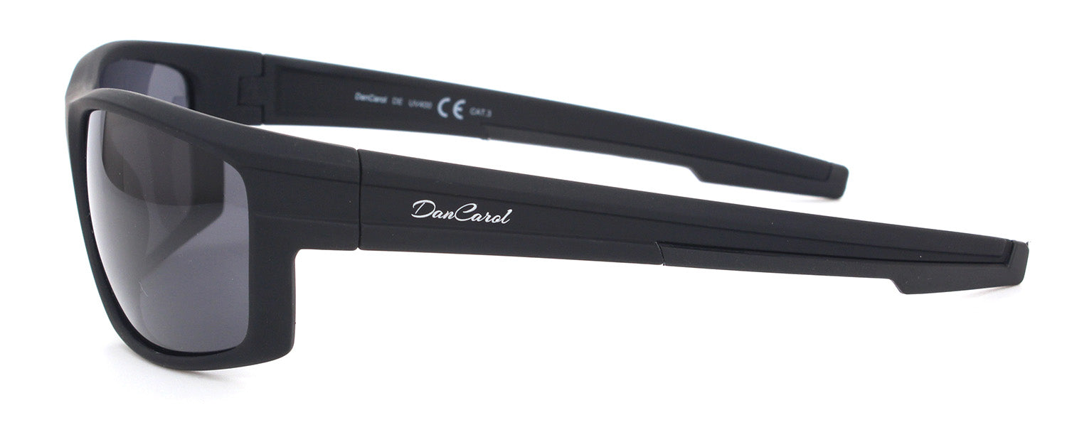 DC-POL-PZ-600-C1 -polarisierten Gläser