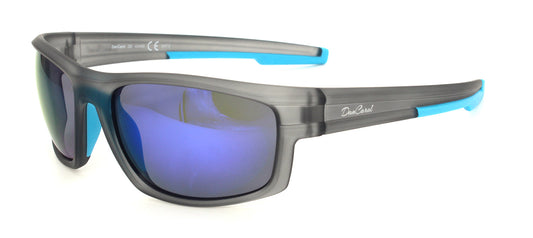 DC-POL-PZ-600-C2 -polarisierten Gläser