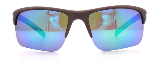 DC-POL-PZ-602-C1 -polarisierten Gläser