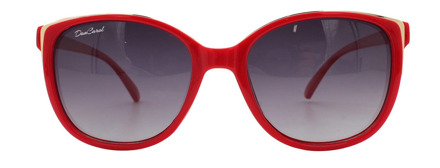 DC-PZ-612 Mit Polarisierten Gläsern