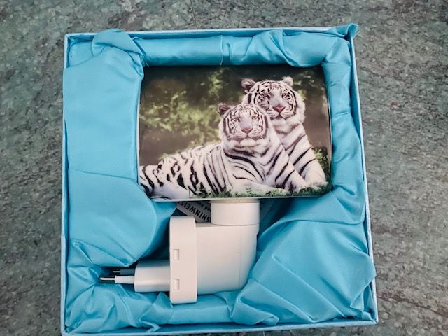 DC-Steckdosenlampe Porzellan-Tiger