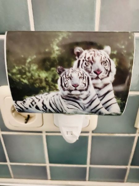 DC-Steckdosenlampe Porzellan-Tiger