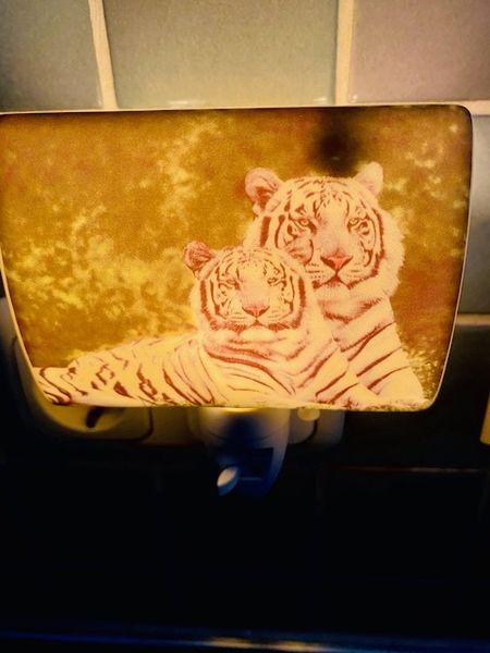 DC-Steckdosenlampe Porzellan-Tiger
