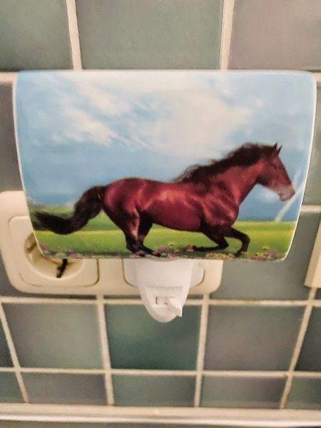 DC-Steckdosenlampe Porzellan-Pferd