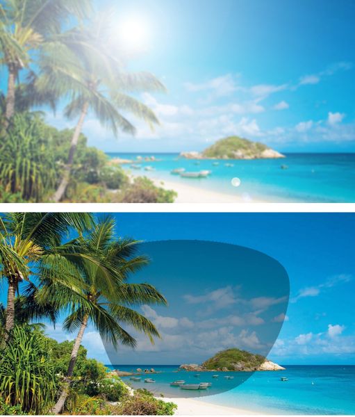 DC-POL-2056-C2-Grau ÜBERBRILLE -HI-QUALITY-TR 90-MATERIAL