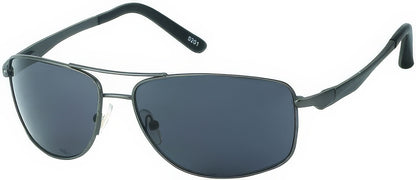 DC-PZ-100-polarisierten  Gläsern