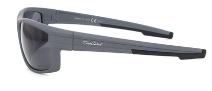 DC-POL-PZ-600-C3 -polarisierten Gläser